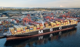 国际海运，MSC船公司