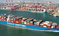 中国对非贸易增速领跑全球，上半年进出口增长 14.4%（国际贸易新闻资讯）