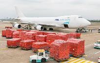 国际货运，国际空运